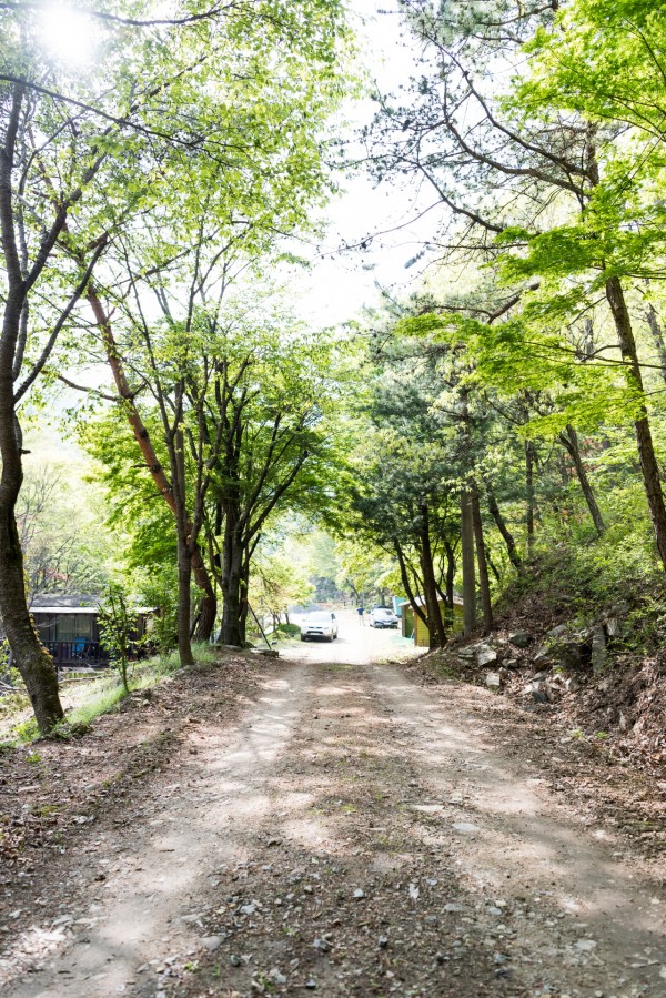 대둔산 젠틀글램핑장은 숲길로 되어있어 산책에 최적입니다. 젠틀글램핑장에에서 힐링하세요